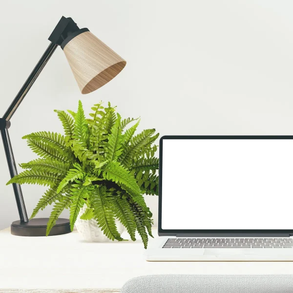 14'' Faux Fern Plant in Ceramic Planter - Image 4